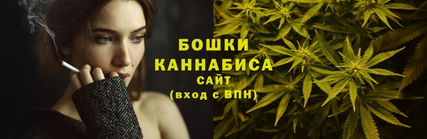 spice Краснослободск