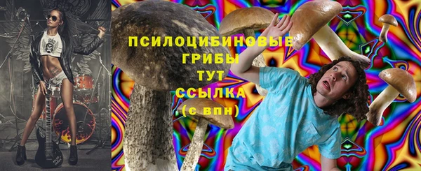 spice Краснослободск