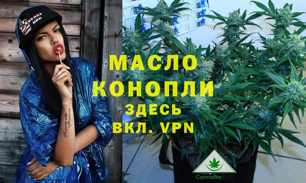 spice Краснослободск