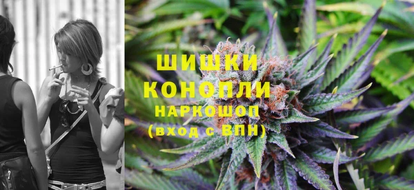 spice Краснослободск