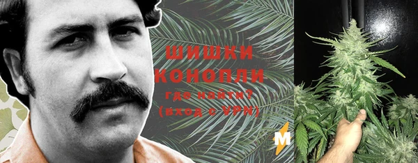 ПСИЛОЦИБИНОВЫЕ ГРИБЫ Краснотурьинск
