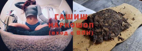 твердый Богданович