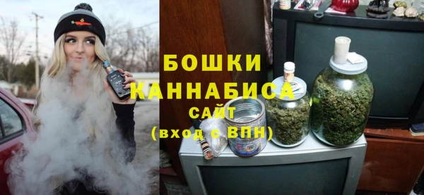 spice Краснослободск