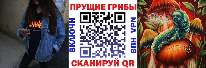 площадка формула  Эртиль  Галлюциногенные грибы Magic Shrooms  ОМГ ОМГ вход 